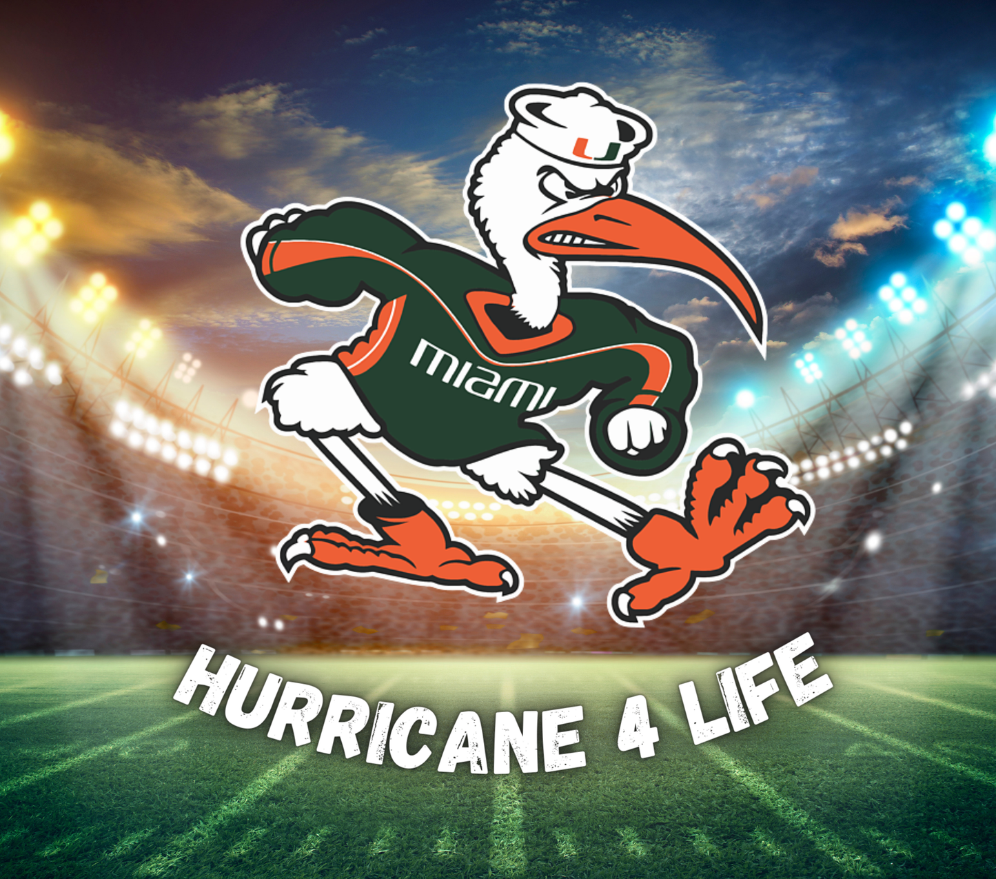 Miami Hurricanes